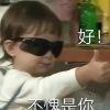 猫总白一航的头像