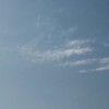 缘临.的头像