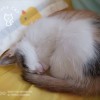 小塔姆的头像