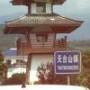 哒啦音乐的头像
