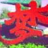 抽纸z的头像