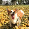qinnn的头像