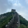 鱼酱的头像