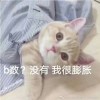 川隐海的头像