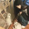 约翰强尼的头像