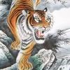 动漫加油站的头像