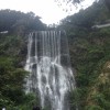 霖霖0的头像