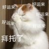 我要的是忧郁的头像